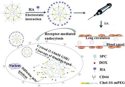 Recent Advances in Nanoplatforms for the Treatment of Osteosarcoma